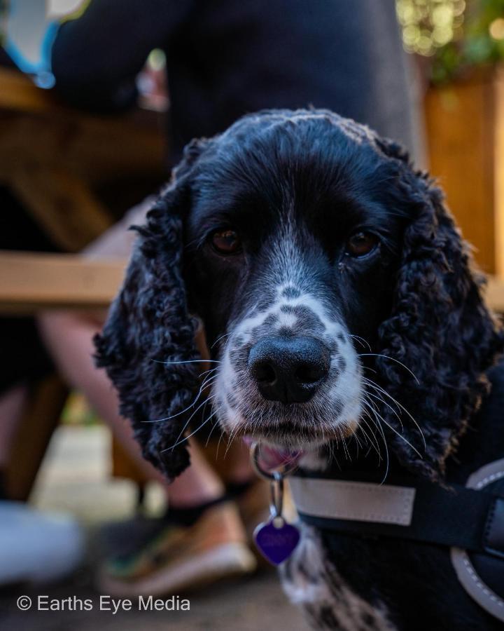 The Bear Inn Llandovery Buitenkant foto
